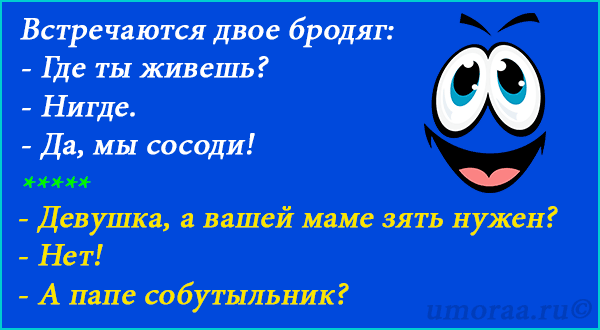 Превосходный сборник анекдотов