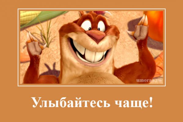 демотиватор с улыбающимся бобром