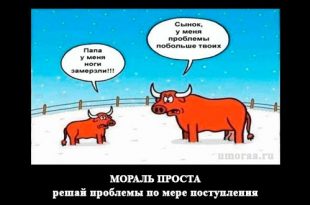 Мини демотиваторы