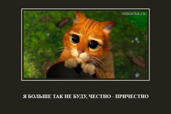 демотиватор с мультфильма шрэк