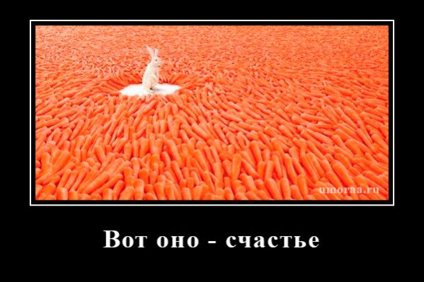 демотиватор про счастье