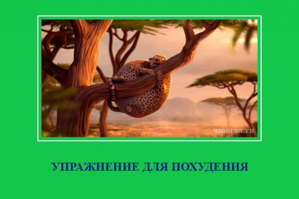 демотиватор с леопардом который висит на дереве и не знает как спуститься на землю