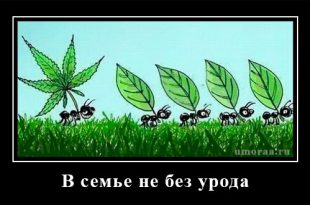 приколы с демотиваторами для позитива