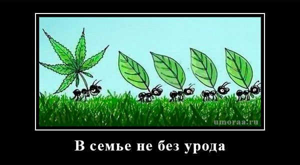 приколы с демотиваторами для позитива