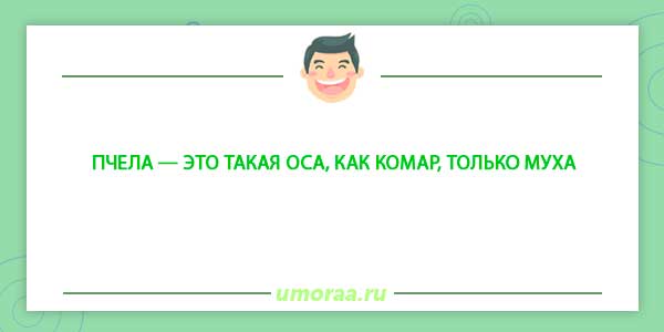 Зверье мое - смешные анекдоты про животных
