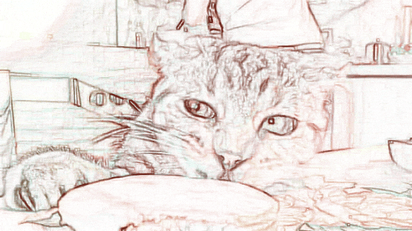 Кот и колбаса