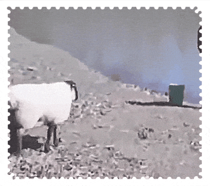 Пинок под зад на рыбалке