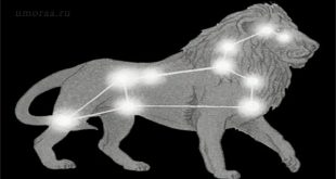 Весёлый Зодиак — прикольная подборка шуток о гороскопах