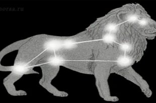 Весёлый Зодиак — прикольная подборка шуток о гороскопах