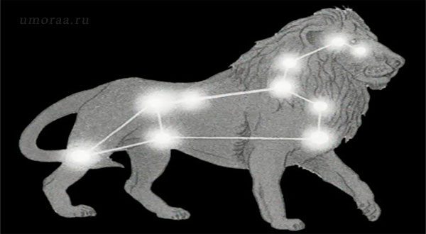 Весёлый Зодиак — прикольная подборка шуток о гороскопах