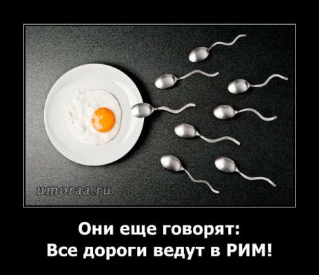 демотиватор с яйцом