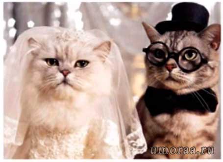 Милашки супруги