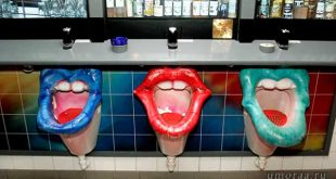 Самые смешные анекдоты про туалет