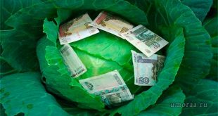 От купюр — прикольные анекдоты о деньгах