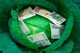 От купюр — прикольные анекдоты о деньгах