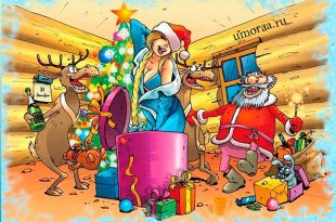 Новый год – анекдоты про лучший праздник в году