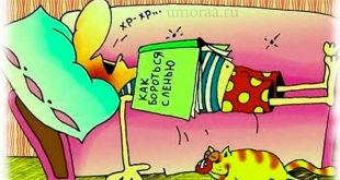 Лень – анекдоты про человеческий недуг