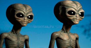Инопланетяне – анекдоты о загадке НЛО