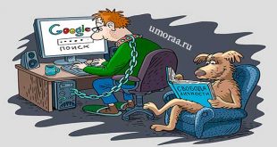 Интернет – анекдоты о всемирной сети