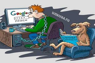 Интернет – анекдоты о всемирной сети