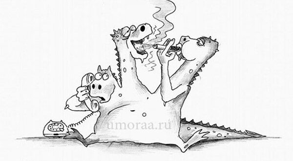 Про наркоманов: лучшие анекдоты и шутки