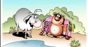 Отборные анекдоты для поднятия настроения | До слёз