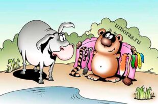 Отборные анекдоты для поднятия настроения | До слёз