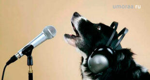 Веселые Домашние Певцы | Попробуй Не Засмеяться