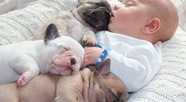 Самая симпатичная подборка Детей и домашних животных