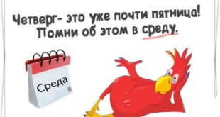 Подборка анекдотов про среду