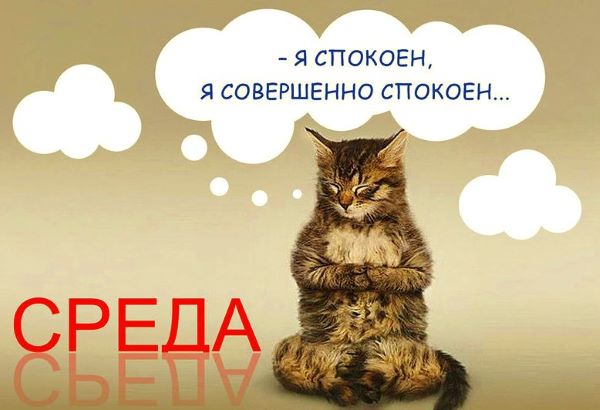 приколы про среду