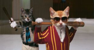 Супер смешные анекдоты +до слез