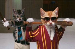 Супер смешные анекдоты +до слез