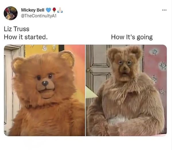 Лиз Трасс мем медведь