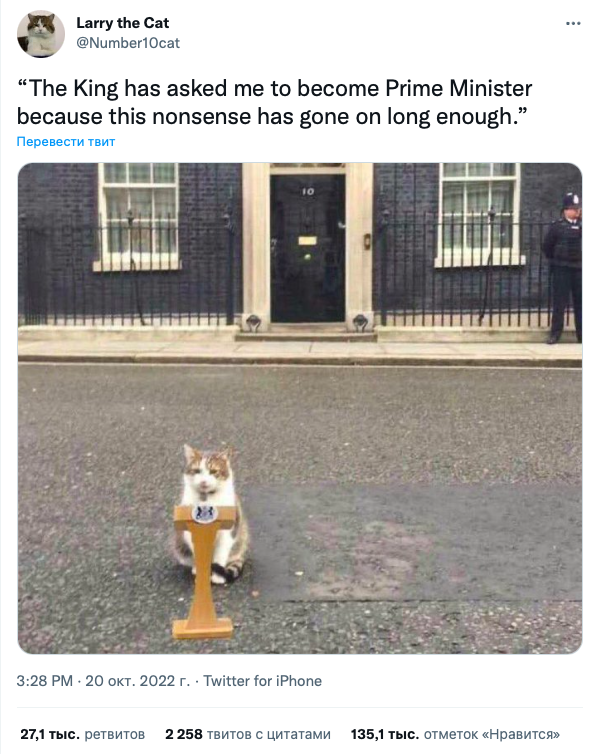 Лиз Трасс котенок