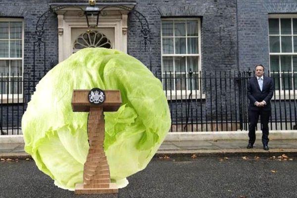 Лиз Трасс большая капуста