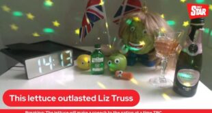 Лиз Трасс ушла в отставку