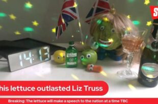 Лиз Трасс ушла в отставку