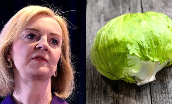 Лиз Трасс безмозлая капуста