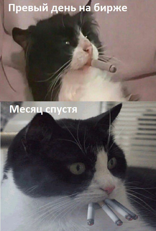 Прикольные фото и мемы про криптовалюту