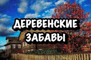 Деревенские забавы / подборка анекдотов деревенской жизни