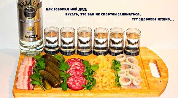 Бухать или не бухать | подборка анекдотов до слез