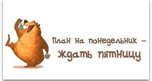 Уникальная подборка смешных анекдотов