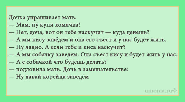 Подборка анекдотов про хомяков