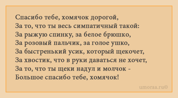 Подборка анекдотов про хомяков