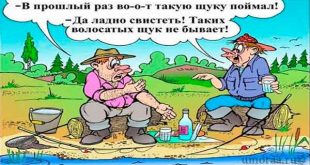 10 случайных анекдотов