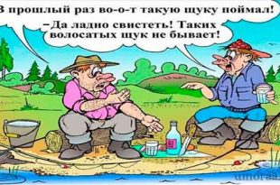 10 случайных анекдотов