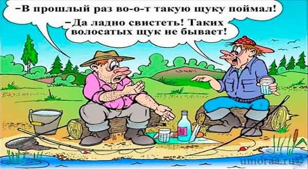 10 случайных анекдотов