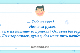 Свежая подборка анекдотов